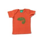 Little Green Radicals - Little Lizard Applique SS T-shirt (0-2j)