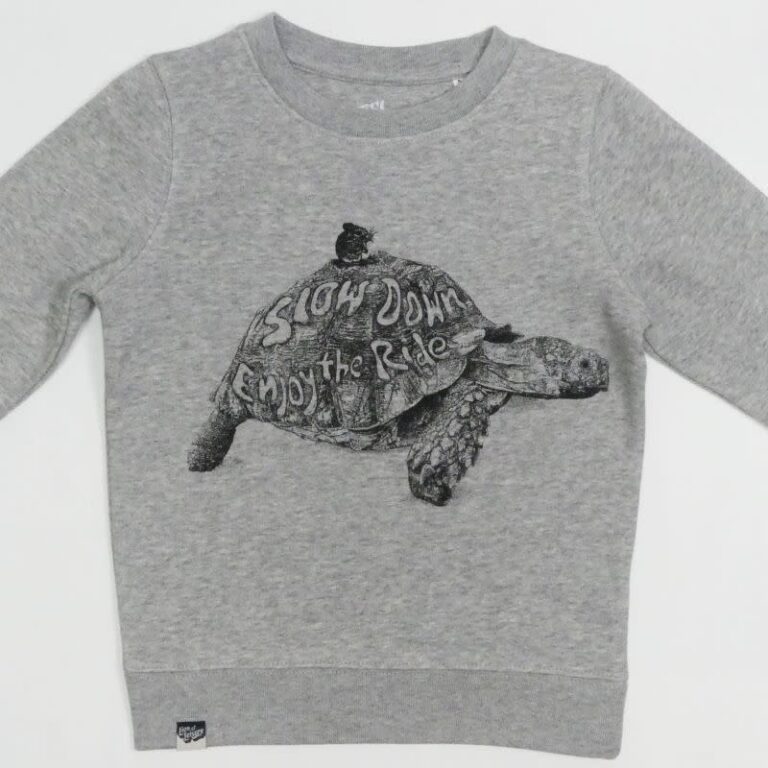 lion-of-leisure-sweater-tortoise-grey-melange.jpg Lion of Leisure - sweater, tortoise, grey melange - Afbeelding 1