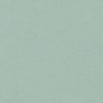 Lion of Leisure - T-shirt, Cat, Aloe green (3-16j) - Afbeelding 3