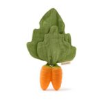 Oli & Carol - Mini doudou & teether, Cathy The Carrot