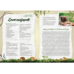 Sigrid Dewaele - De daslookroof - Afbeelding 4